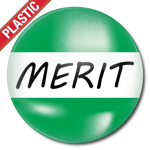 Merit Plastic Button Badge by School Badges UK