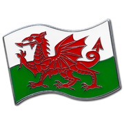 Welsh Flag Badge by School Badges UK