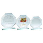 Jade Glass Octagon + Silver Lined Edges (4mm Thick) by Legacy Outfitters