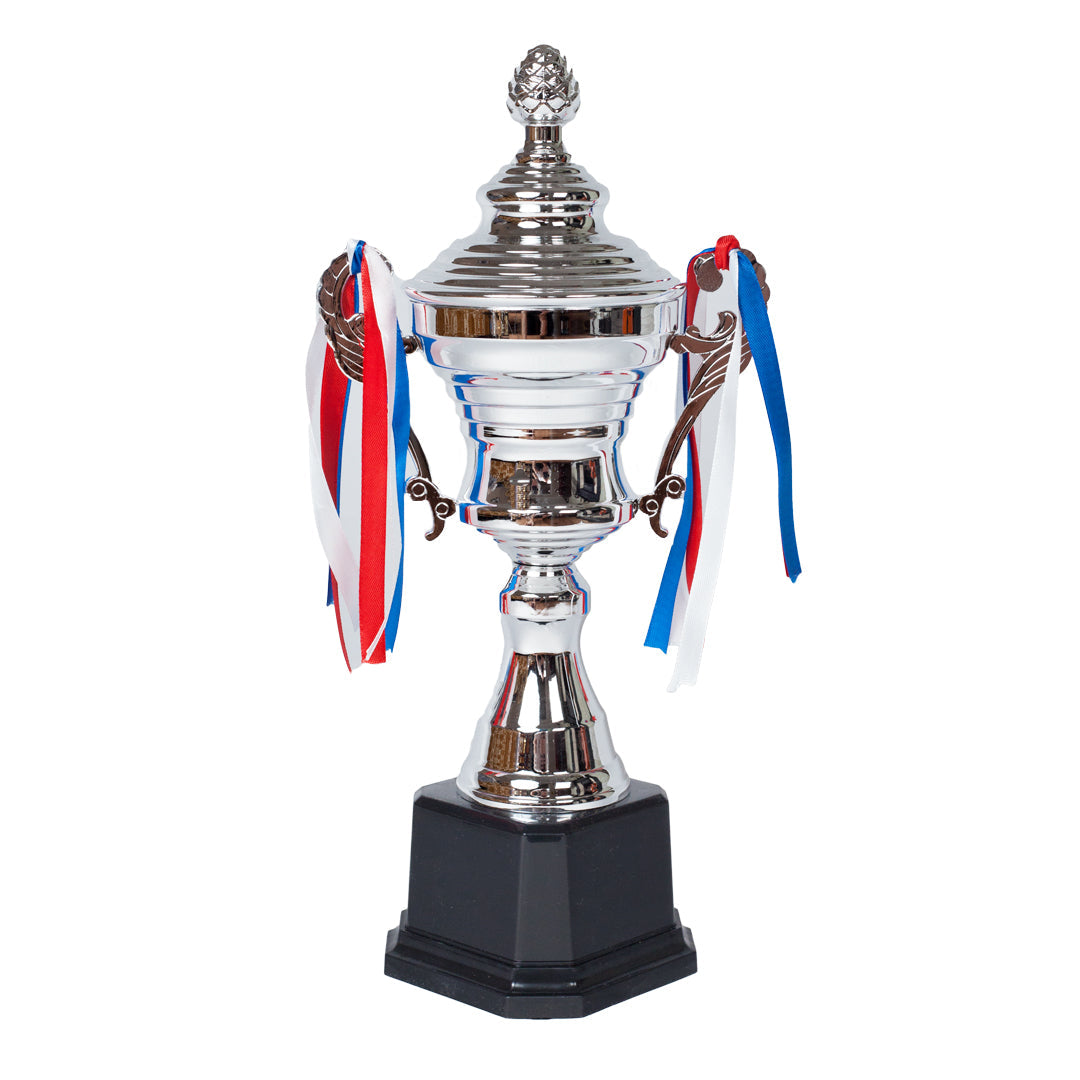 Sovereign Crest Cup Silver Trophy by School Badges UK