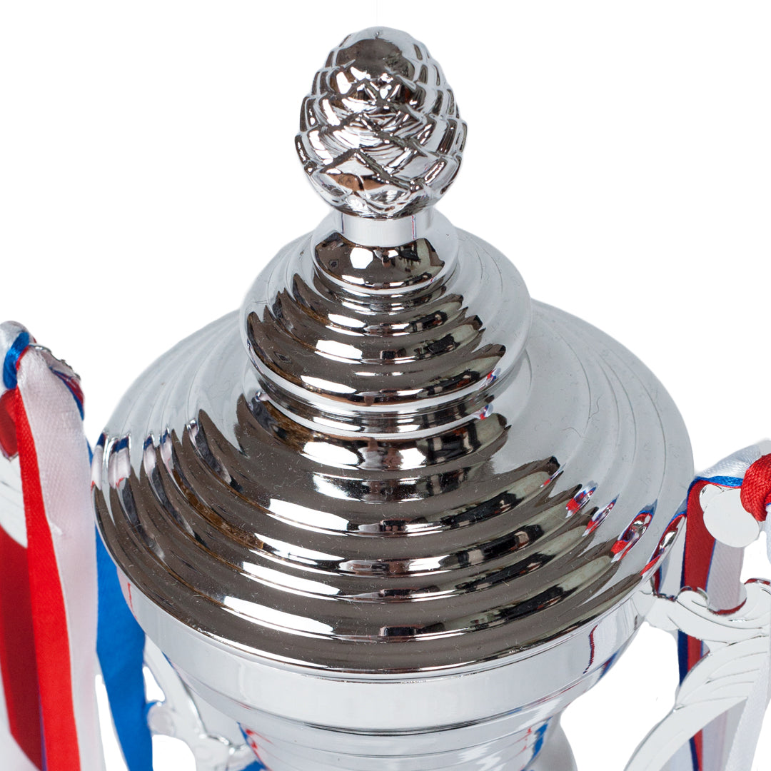 Sovereign Crest Cup Silver Trophy Top Zoomed by School Badges UK